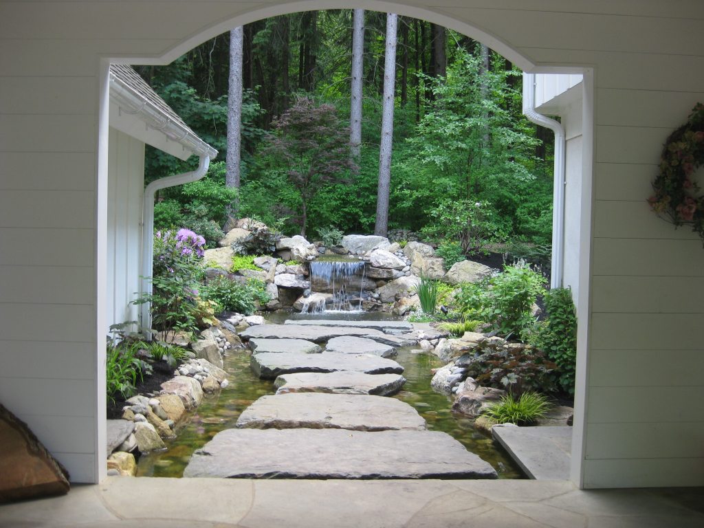 Backyard transformation